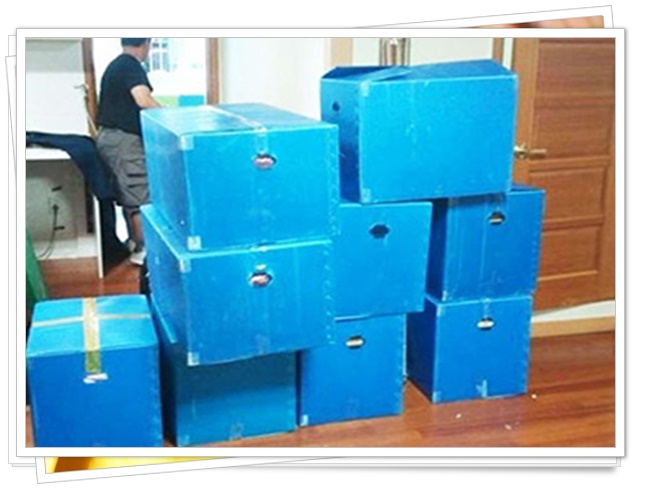 청주포장이사 PC 이미지 736807